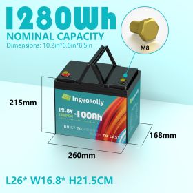 12V 100Ah LiFePO4 Battery Pack Built-in BMS 100A Rechargeable Lithium Iron Phosphate Batterie For Home Solar No Tax